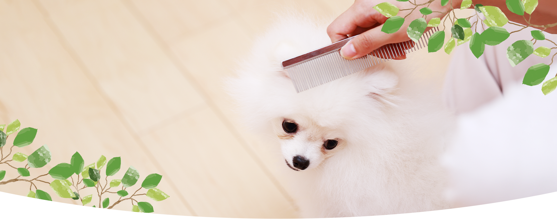 犬の美容室ジェイリー