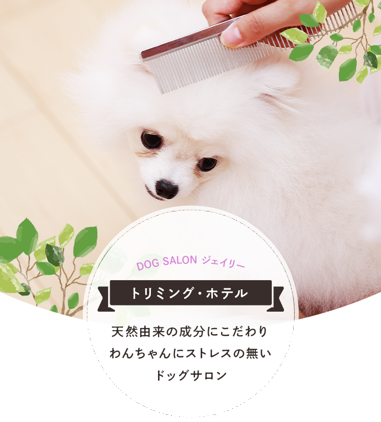 犬の美容室ジェイリー