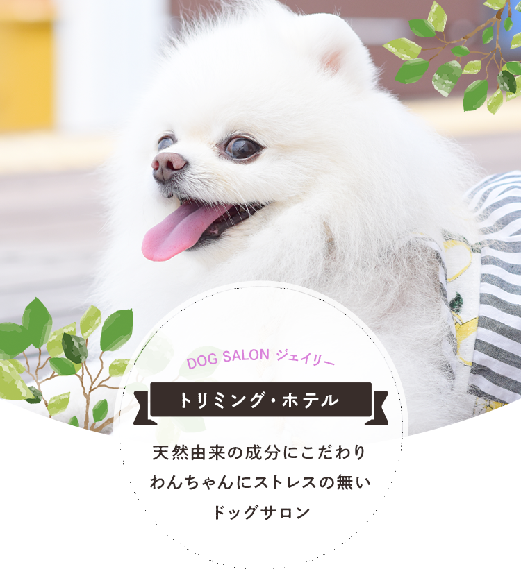 犬の美容室ジェイリー