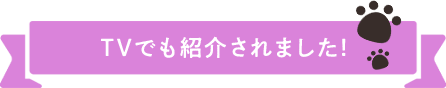 TVでも紹介されました!